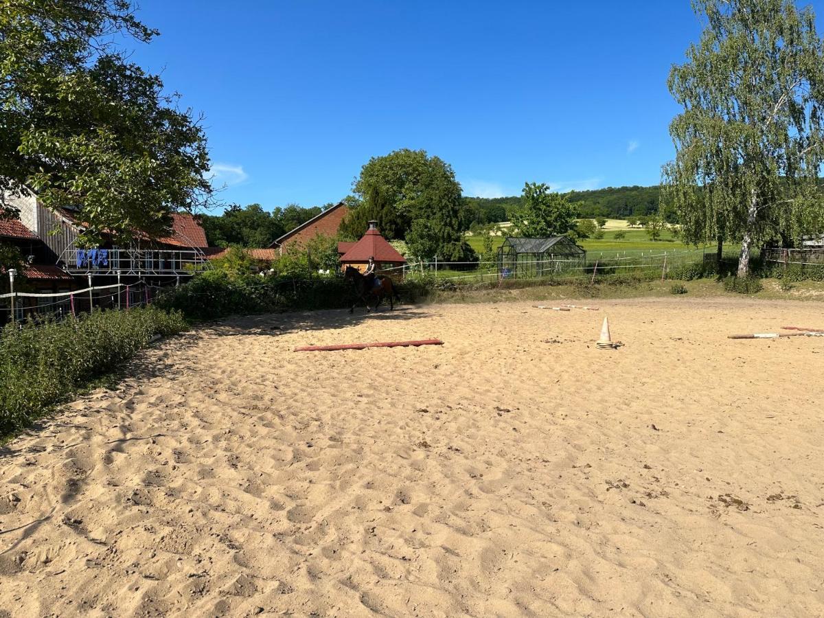 Fewo Im Reit- Und Ponyparadies Roos Halle  Exterior foto